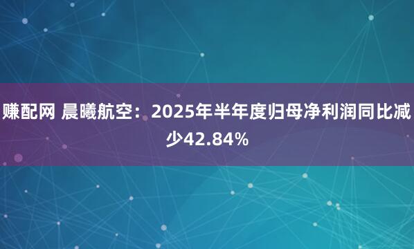 赚配网 晨曦航空：2025年半年度归母净利润同比减少42.84%