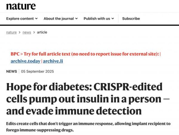 华盛通 首次人体实验成功！基因编辑胰岛细胞“隐身”植入，可正常分泌胰岛素