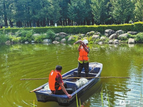 博星优配 聂耳公园“怪鱼”落网